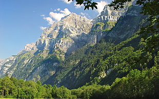 landscape photography of mountain with green trees